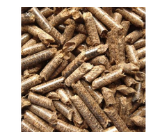 Biomass Wood Pellet Exporter