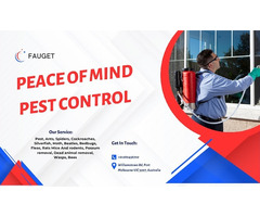 Pest Control Port Melbourne - Peace of Mind Pest Control