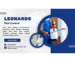 Leonards Pest Control in St Leonards