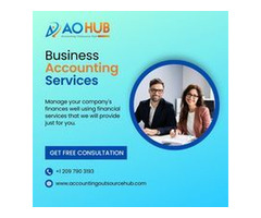 Expert Accountant for Online Businesses in Mohali