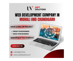 Web Development Company in Mohali & Chandigarh: Designed for Success