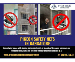 Pigeon Safety Nets in Bangalore