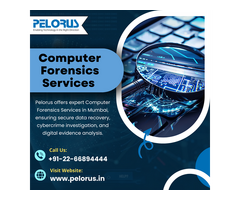 Computer Forensics Services