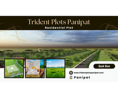 Trident Plots Panipat: Build Your Future