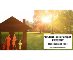 Trident Plots Panipat: Build Your Future - Image 2