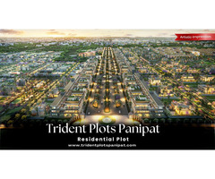 Trident Plots Panipat: Build Your Future - Image 3