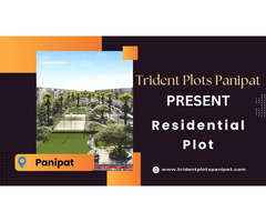 Trident Plots Panipat: Build Your Future - Image 4