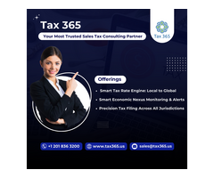 Sales and Use Tax Consultant Services – Hassle-Free Tax Solutions