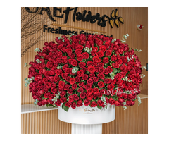 UAE Flowers - Flower Delivery Dubai & Gift Shop