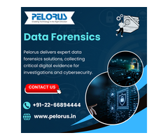 data forensics