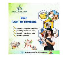 Paint by Numbers | Paint by Numbers for Adults & Kids