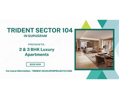 Trident Sector 104 Gurgaon: A Modern Residential Marvel - Image 3