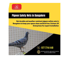 Pigeon Safety Nets in Bangalore