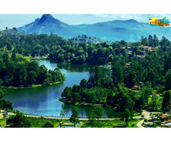 Chennai To Kodaikanal-Palani Temple Tour Package