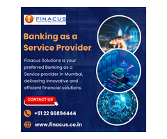 Banking as a Service Provider