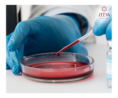 What Support Services Are Available During Blood Cancer Treatment in Noida?
