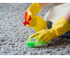 Same Day Carpet & Window Cleaning in South East London