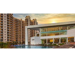 Flats for Sale and Rent Sector 168 Noida