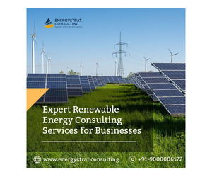 Expert Renewable Energy Consulting Services for Businesses