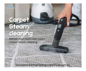 Expert Carpet Steam Cleaning for Stubborn Dirt Removal