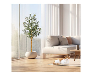 What’s For Your Home - Image 6
