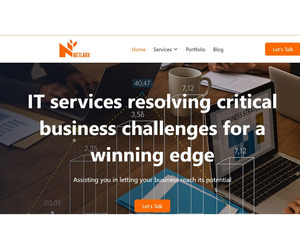 Netlarx: IT Services & Digital Solutions in Delhi NCR