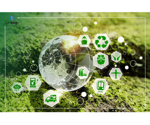 Worried About Supply Chain Sustainability Risks in Your UAE Operations?
