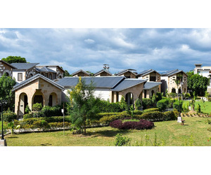 Amaris Greens Resort By Vedam In Jim Corbett Festive Holi Package