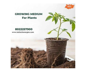 Professional Growing Medium for Plants from Leading