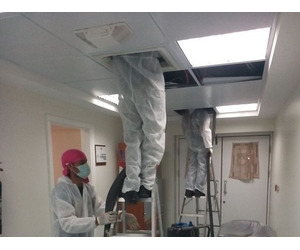 Cleaning Services in Dubai – Trusted Experts