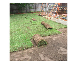 General Gardening in Sydney | AAA Able Abaca Gardening & landscaping - Image 3