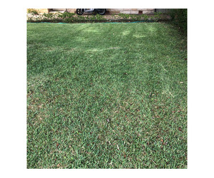 General Gardening in Sydney | AAA Able Abaca Gardening & landscaping - Image 4