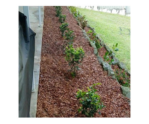 General Gardening in Sydney | AAA Able Abaca Gardening & landscaping - Image 5