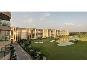 Ambience Caitriona Gurgaon For Sale Ultra Luxury Flats