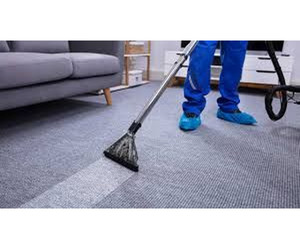 PPJ Solutions Carpet Cleaning – Deep, Professional & Reliable Services