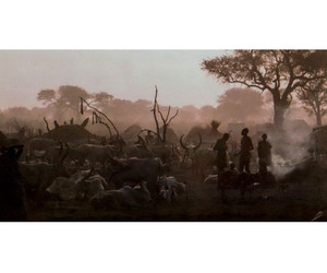 Professional Documentary & Wildlife Filmmaker