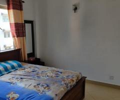 Furnished New Luxury Apartment for Rent in - Jalthara - Image 2