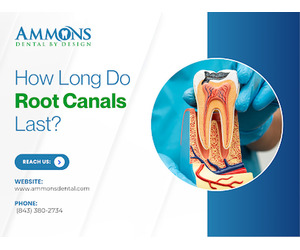 Ammons Dental By Design Downtown Charleston - Image 4