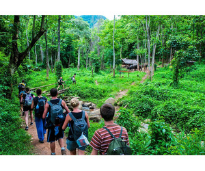 Corbett Resorts – Luxury Stay & Nature Escape In Jim Corbett
