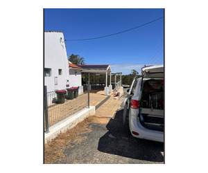 Pest Control & Termite Treatment – Perth WA - Image 4