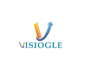 Visiogle: A PPC Management Company Focused on ROI, Not Just Traffic