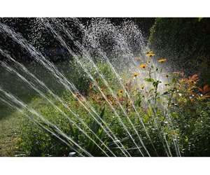 Efficient Irrigation Planning & Landscape System Services