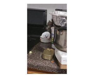 Best Mice Exterminator in Brooklyn | Fast & Reliable Rodent Control