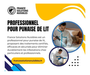 Dératisation Île-de-France – Service Rapide et Efficace - Image 5