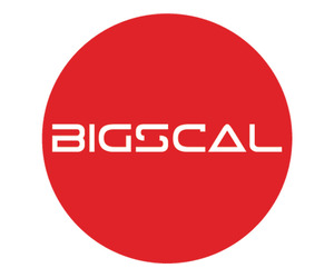 Bigscal The Ultimate Software Development Company
