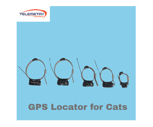 How to Choose the Right GPS Locator for Cats Easily?