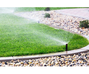 Tailored Irrigation Systems for Central Florida - Image 2