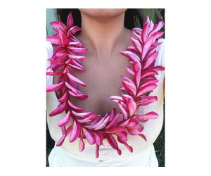 Maui Travel Arrival Surprise Gift - Plumeria Lei Greetings