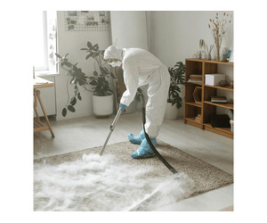 Carpet Extraction Services Melbourne for Deep Cleaning & Stain Removal