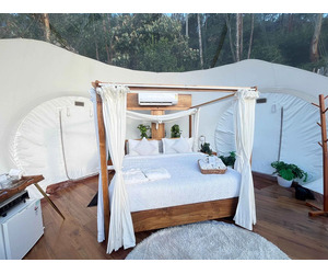 Best Resorts in Munnar | Top Resorts in Munnar - Image 8
